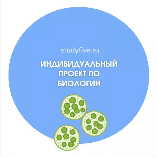 Индивидуальный проект по биологии