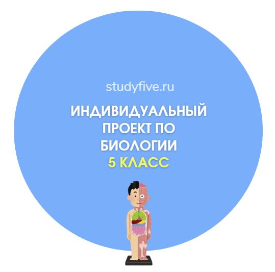 Темы индивидуальных проектов по биологии для 5 класса
