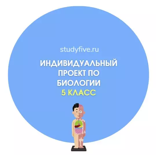 Темы индивидуальных проектов по биологии для 5 класса