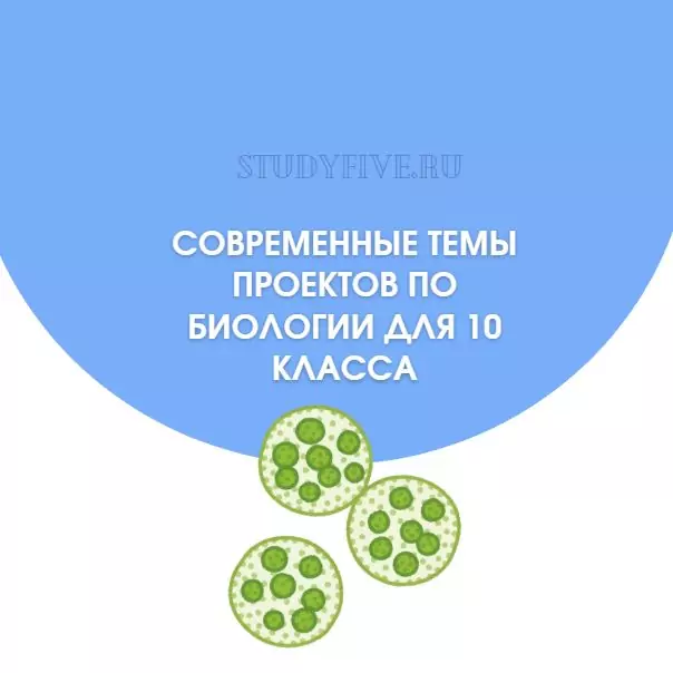 Современные темы проектов по биологии для 10 класса